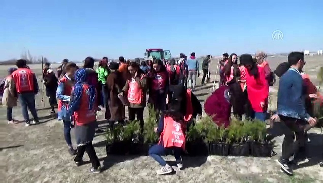 Karapınar'da 300 fidan toprakla buluştu - KONYA