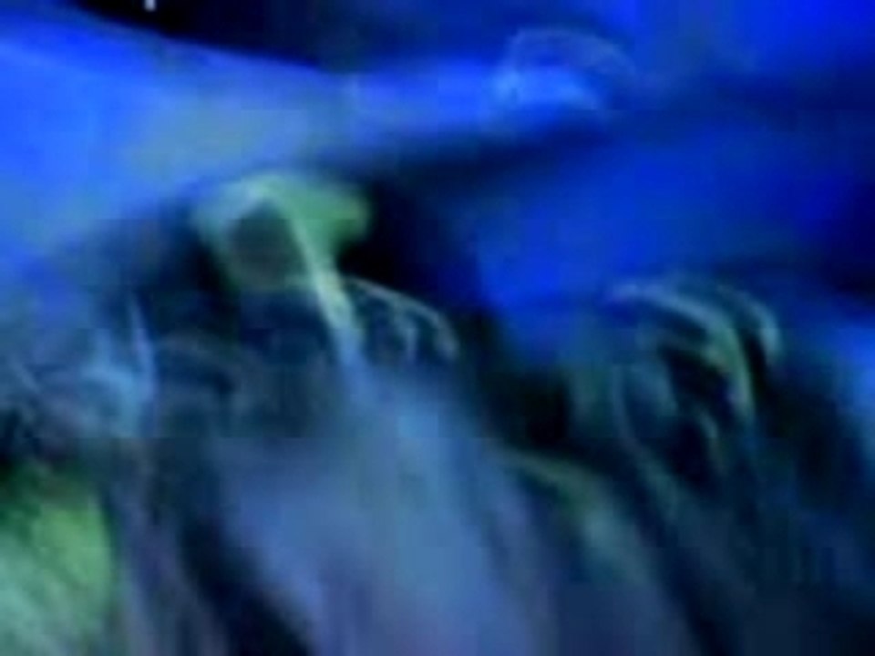 montreuil sous les bois cross