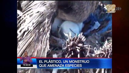 Tải video: Desechos amenazan las Islas Galápagos