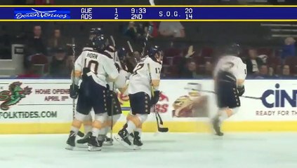 ECHL Jacksonville Icemen 3 at Norfolk Admirals 5