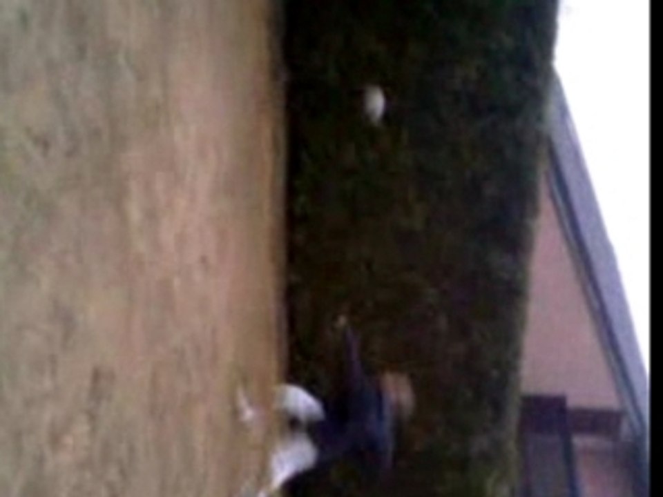 Ptite brésilienne 2