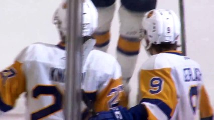 Highlights: Warriors (2) at Blades (3) – OT