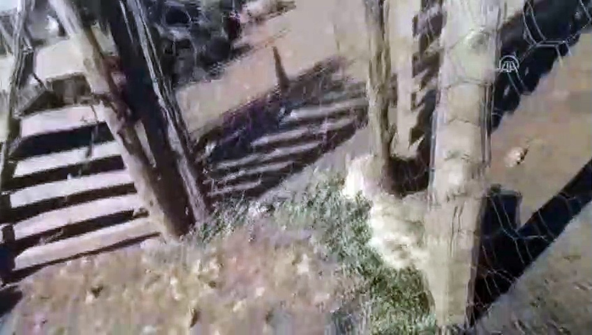 Ahirda Cikan Yanginda 100 Kucukbas Hayvan Telef Oldu Adana Dailymotion Video