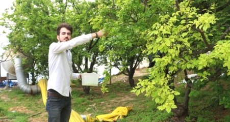 Can Eriğin Tanesi 3 TL'den Satılıyor