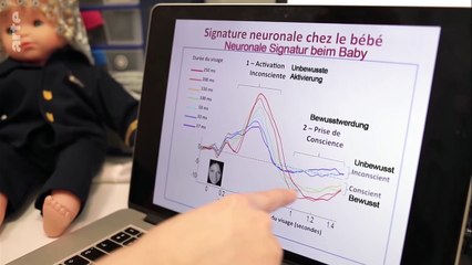 Les pouvoirs du cerveau - Déchiffrer la conscience