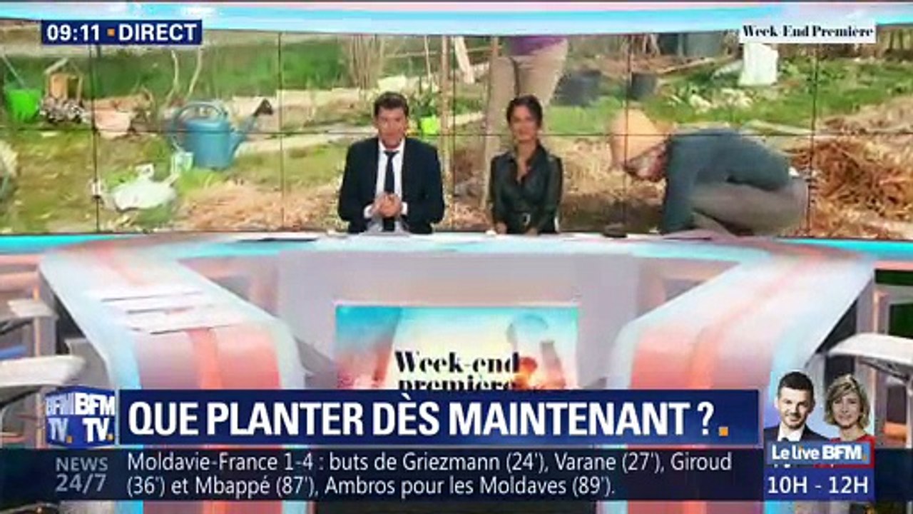 Que planter dès maintenant ?