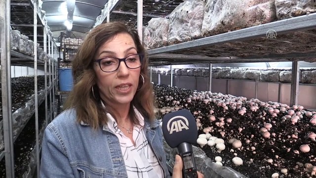 Oğlunun borcu için yaptırdığı gelir testi, tesise dönüştü - ADANA