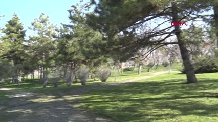 Ankara Tbmm, Kendi Çiçeğini Üretiyor