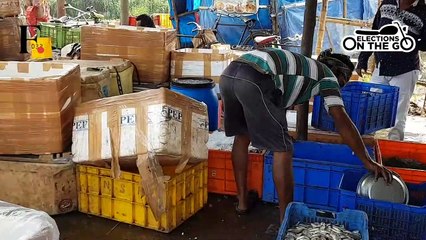 Odisha fishermen's plight.mp4