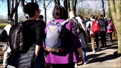 Balade contée et qi gong au Malsaucy