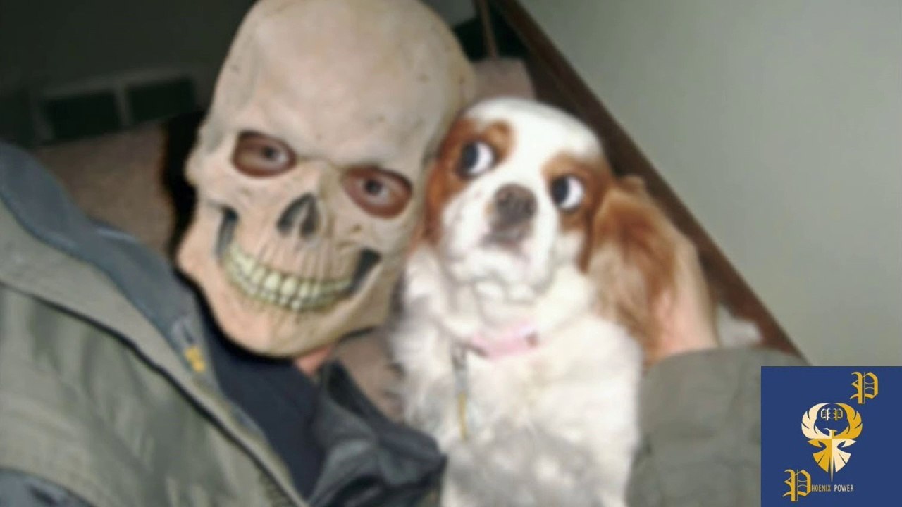 Funny Dogs Scared of Masks - Part 5