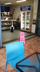 Un pellican attend patiemment dans une poissonnerie