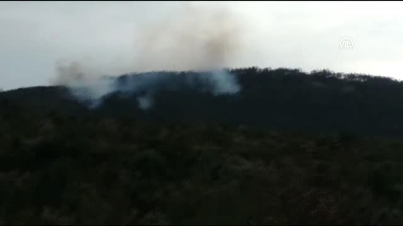Orman Yangını