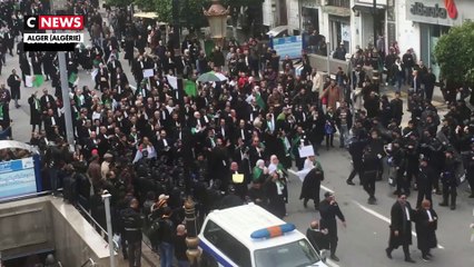 Algérie : des centaines d'avocats manifestent contre le régime