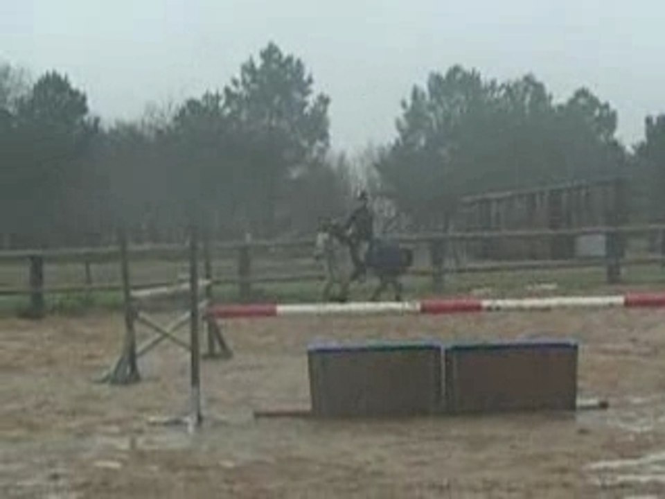 Lulu et Laer