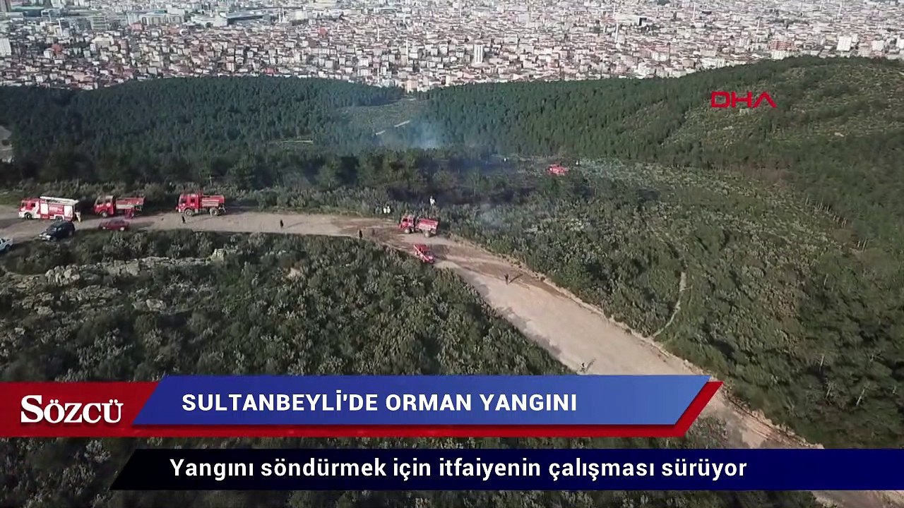 İstanbul’da orman yangını