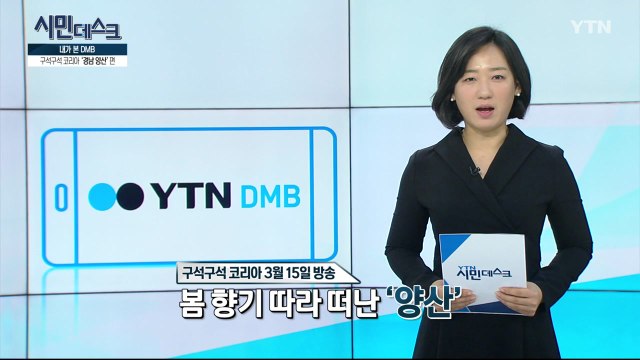 [3월 24일 시민데스크] 내가 본 DMB / YTN