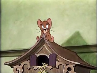 토토분양 ┎〈 텔레그램: @AppleSoL ㅿ 토토분양