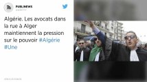 Algérie. Les avocats dans la rue à Alger maintiennent la pression sur le pouvoir