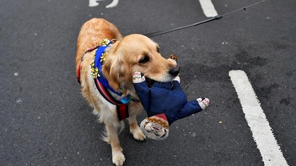 Protest und Petition: Millionen  gegen den Brexit