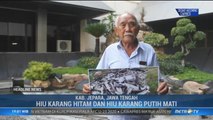 Pemilik Penangkaran di Karimunjawa Selidiki Penyebab 110 Hiu Mati Mendadak