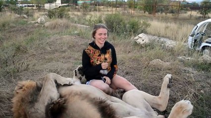 Elle, elle n'a vraiment pas peur des lions