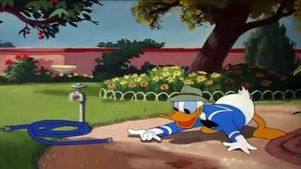 ᴴᴰ Pato Donald y Chip y Dale dibujos animados - Pluto, Mickey Mouse Episodios Completos Nuevo 2018