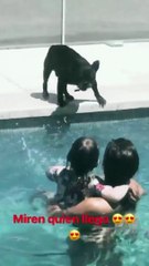 Moro y Renata llegan a Carlos Paz - 15 de Febrero