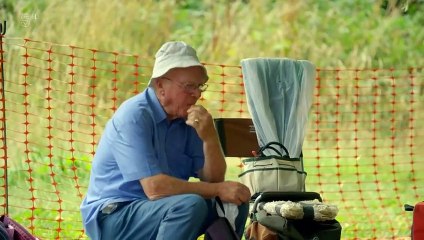 Digging Up Britain's Past S01E02 Henry VIII's Lost Palace