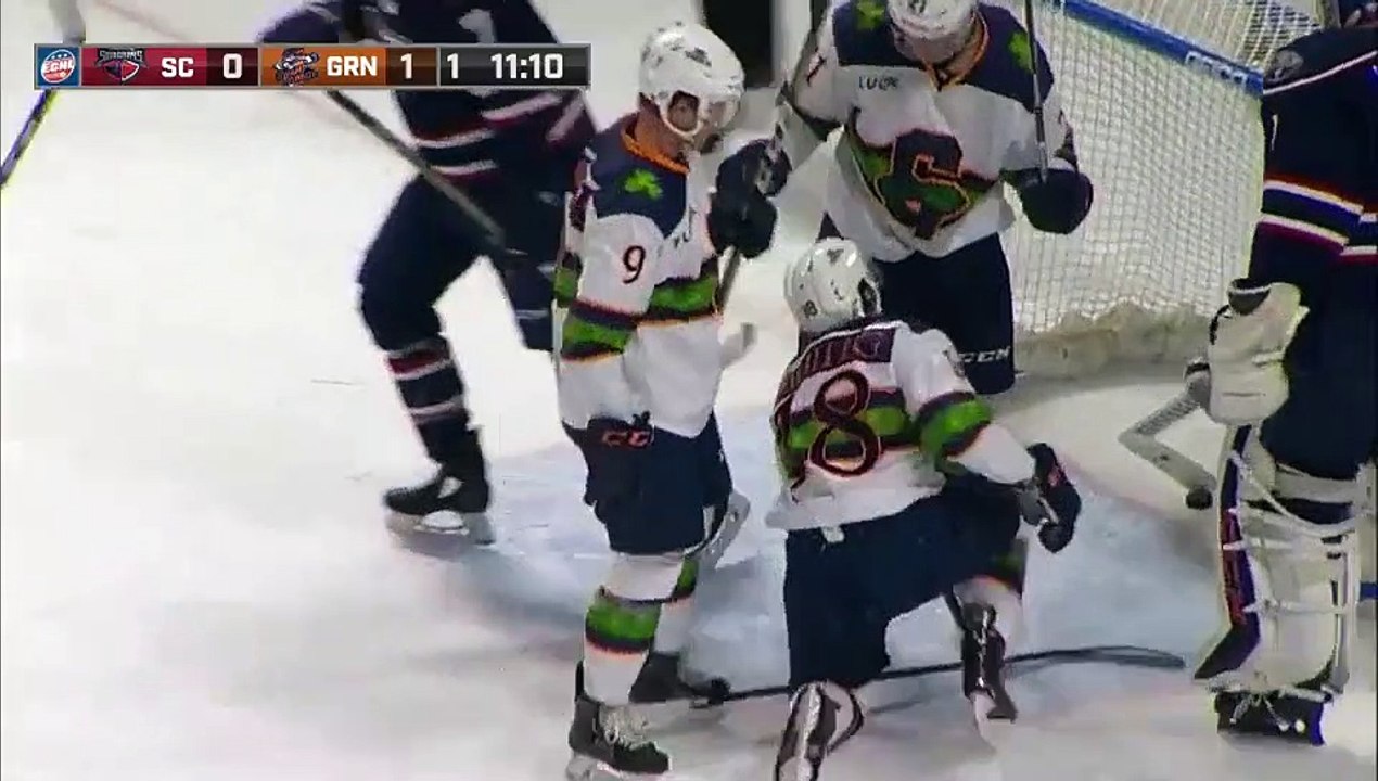 ECHL South Carolina Stingrays 0 at Greenville Swamp Rabbits 2