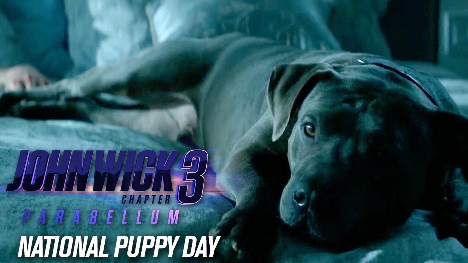 John Wick Chapter 3 Parabellum Happy National Puppy Day