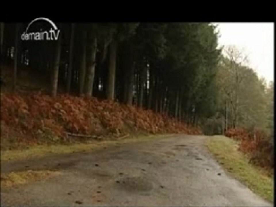 DemainTV à La Magdelaine (Limousin):gites et élevage paint