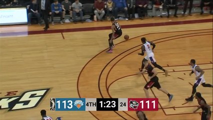 Cat Barber (32 points) Highlights vs. Westchester Knicks