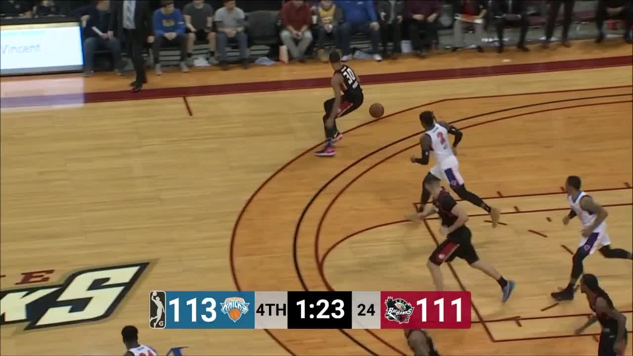 Cat Barber (32 points) Highlights vs. Westchester Knicks