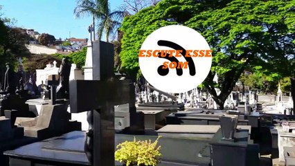 A LOIRA DO CEMITÉRIO DO BONFIM