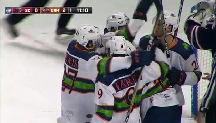 ECHL South Carolina Stingrays 7 at Greenville Swamp Rabbits 2