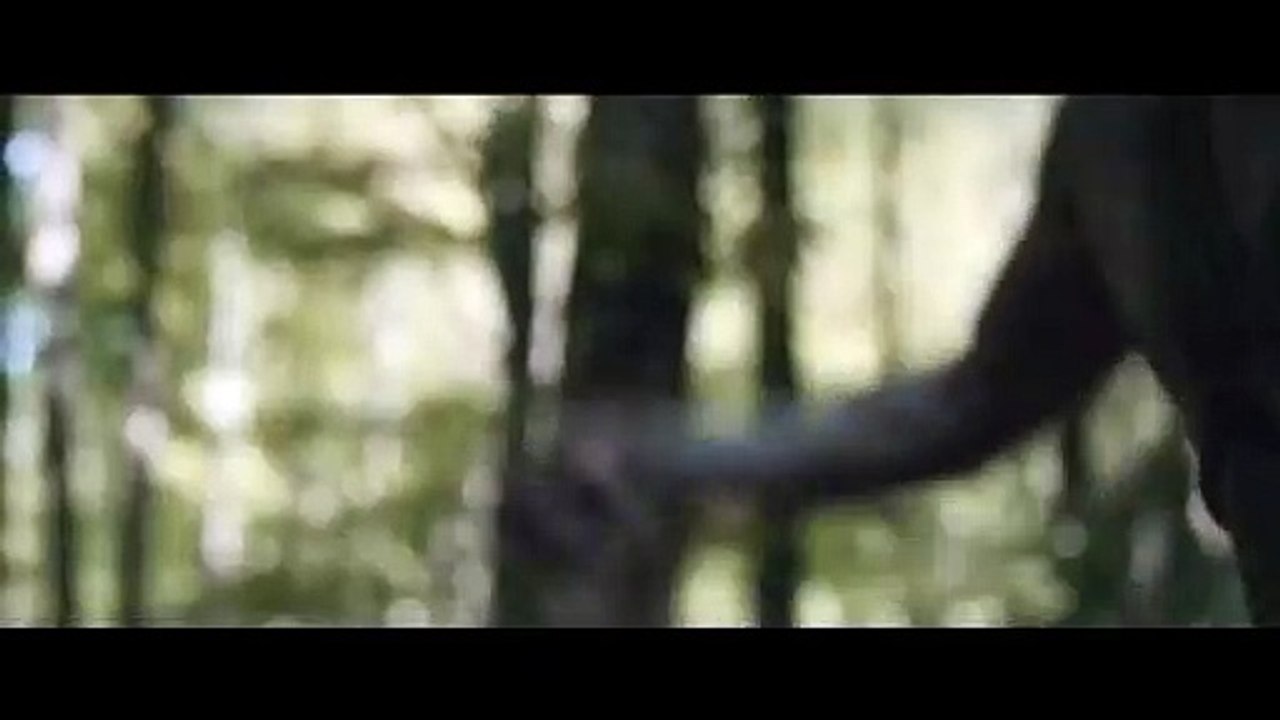 영화 [필그리미지] - Pilgrimage