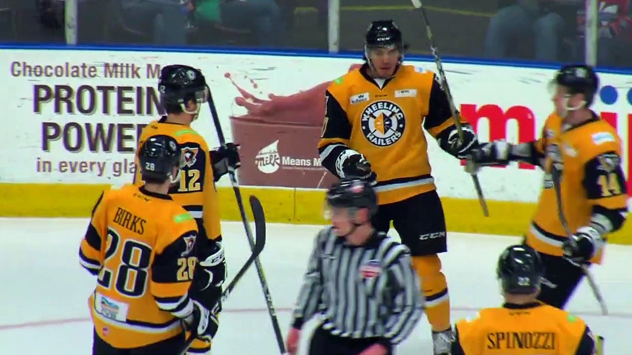 Wheeling Nailers 2 Kalamazoo Wings 3 video Dailymotion