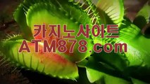 す 슬롯머신게임 더킹카지노≪≪ＭＳＴ272、COM≫≫무료포커게임 を K리그 올스타 wを