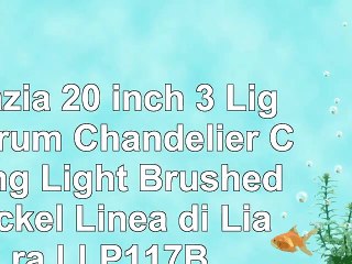 Download Video: Grazia 20 inch 3 Light Drum Chandelier Ceiling Light  Brushed Nickel  Linea di Liara