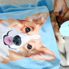 Print Your Pet Reviews- Staisfy Customer by Print Your Pet