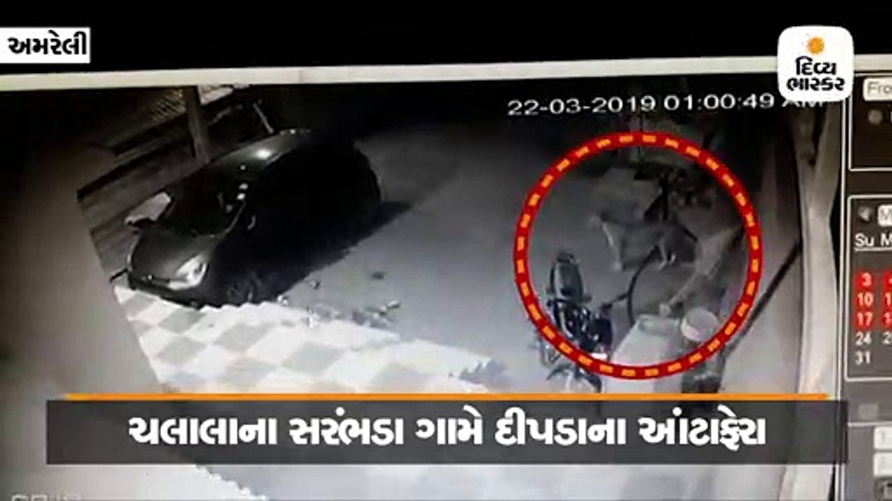 ચલાલાના સરંભડામાં સરપંચના ઘરે દીપડાએ ચોકીદારી કરી, દ્રશ્યો CCTVમાં કેદ