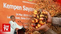 Dr M: European nations more interested in making money when they 'criminalise' palm oil