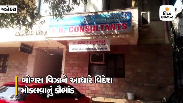 વડોદરામાં બોગસ વિઝાને આધારે લોકોને વિદેશ મોકલવાનું કૌભાંડ ઝડપાયું, મહિલા સહિત 2ની ધરપકડ