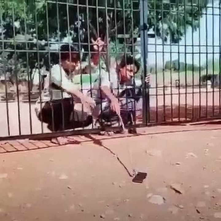 Prietenul la nevoie de cunoaste