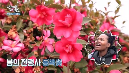 봄기운 물씬~ 동백꽃이 활짝 핀 능산도로 떠나는 여행!