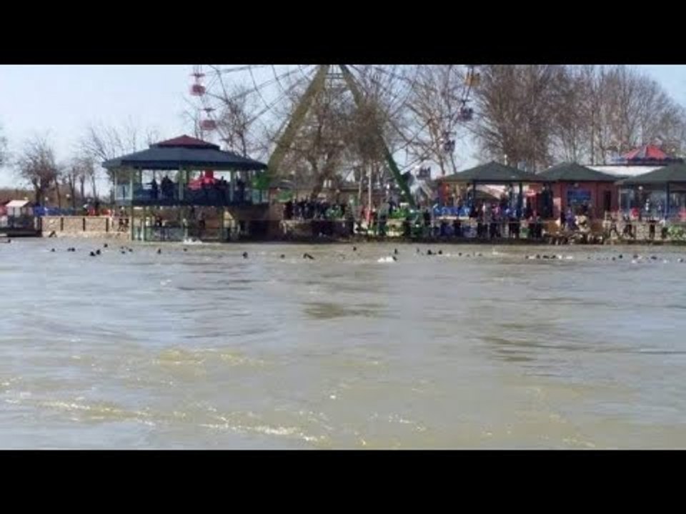 نعي حزن قهر بكاء شهداء(عبارة الموت) رياض الملك العازف مصطفى الحنين الشاعر عدنان الرملاوي