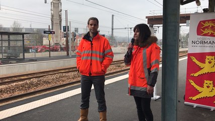 La plus grande grue française pour poser la passerelle de Lisieux