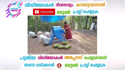അങ്ങനെ ചക്ക നുറുക്കുന്ന കാര്യത്തിലും ഒരു തീരുമാനമായി