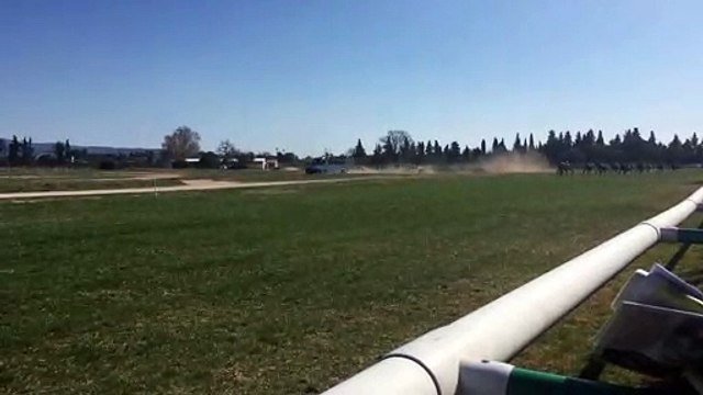 Carpentras : c'est parti pour la première réunion hippique